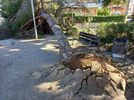 120226 incidencies_vent_extrem__19_.jpeg