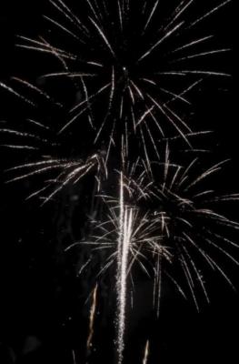 140825 CASTELL DE FOCS (1).jpg