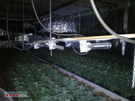 180104 ndp 002 rpms f2 mossos d esquadra plantacio marihuana cubelles