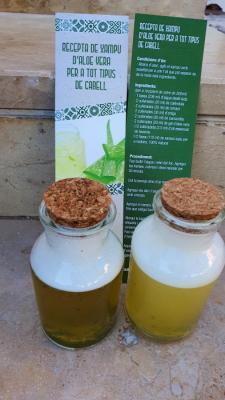 20210801_Taller elaboració sabó Aloe (2).jpg