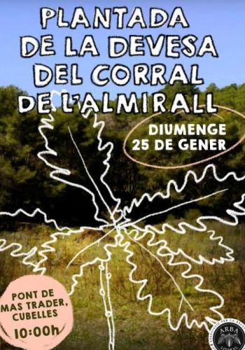 220126 PLANTACIO DEVESA CORRAL ALMIRALL ARBA.jpg