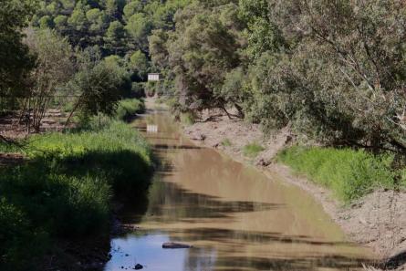 260925 ACN PANTÀ FOIX REFORMES (2).jpeg