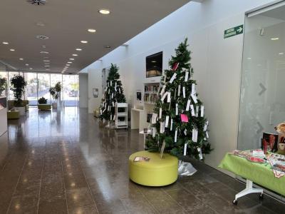 BIBLIOTECA NADAL 2025.JPG