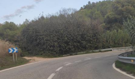 CARRETERA PANTÀ FOIX MOTOS (6).jpg