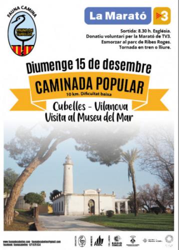 cartell-fauna-marato-tv3-2019.jpg