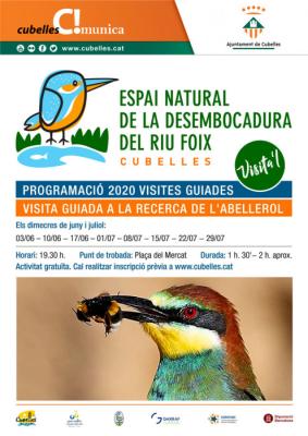 cartell visites abellerol 2020.jpg