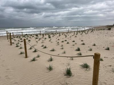 DESEMBOCADURA PLATJA MOTA 050326 (1).JPG