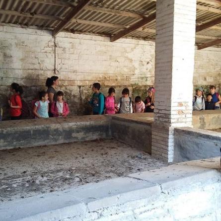 escolars Safaretjos