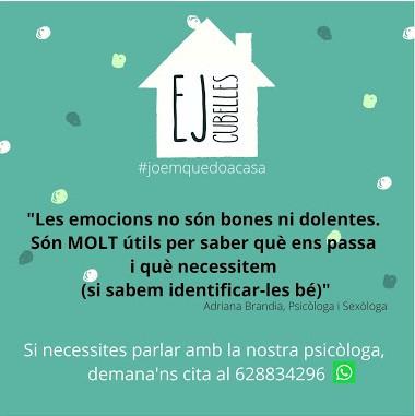 ESPAI JOVE (ASSESSORIA SALUT JOVE)jpg.jpg