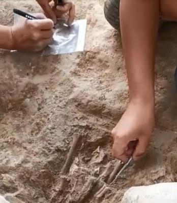 Excavacions jaciment_restes animals ritual_fase 2 (2).jpg