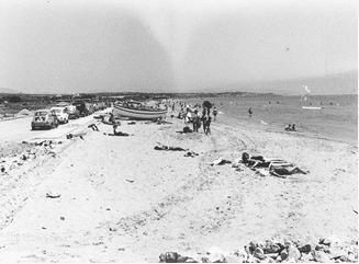 EXPO AMICS CASTELL PLATJA 031025.jpeg