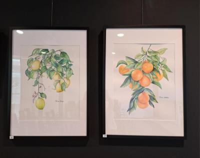 EXPO NATURAE (1).jpeg