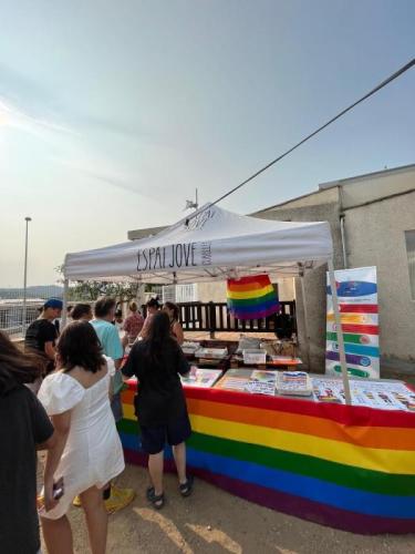 FESTA LGTBI ESPAI JOVE 2023 (2).jpeg