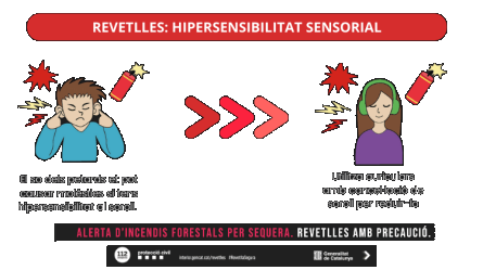iconografia-hipersensibilitat-png-1394227981.png