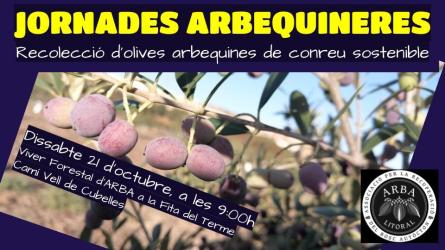 JORNADES-ARBEQUINERES-23.jpg