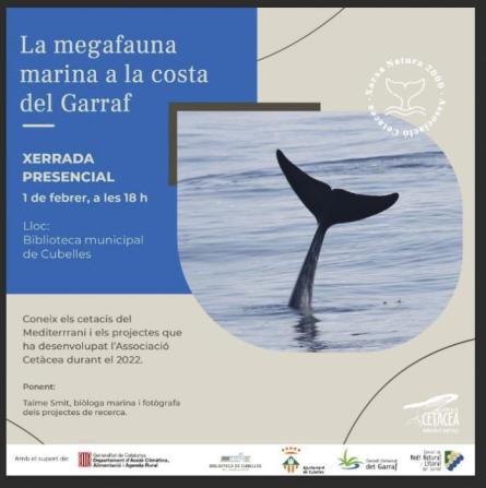 Lamegafauna marina a la costa del garraf.jpg