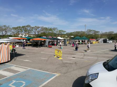 MERCAT 080520 4.jpeg