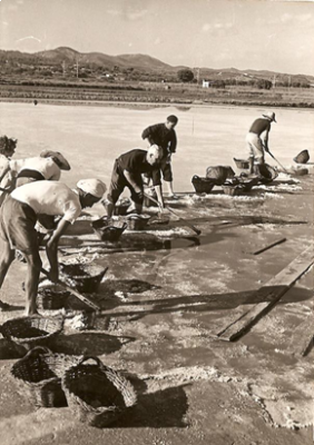 Mostra les-salines.png