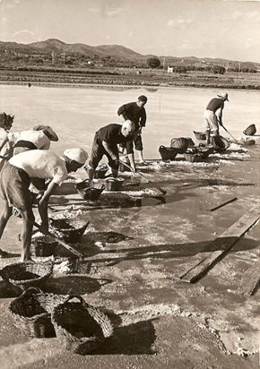 Mostra les-salines.png