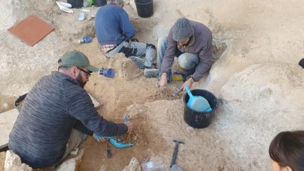 NEANDERTAL BALMA GRIERA (3).jpg