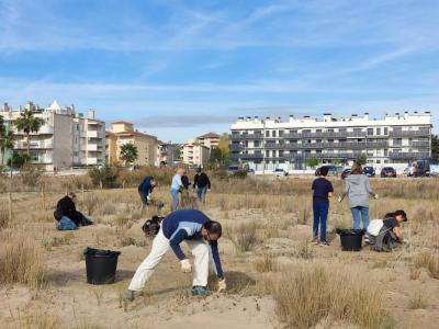 NETEJA PLATJA GEPEC (3).jpeg