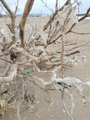 NETEJA VEINS PER CUBELLES 010226 (2).jpeg