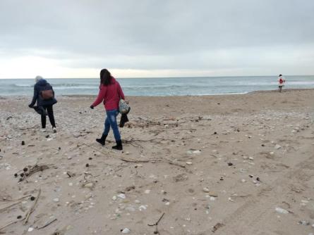 NETEJA VEINS PER CUBELLES 010226.jpeg