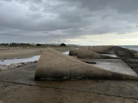 OBRES DÀRSENA 160925 (2).JPG