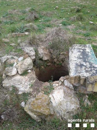 Ovella rurals 1