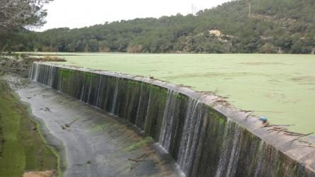 PANTÀ FOIX GENER 2020 (3).jpg