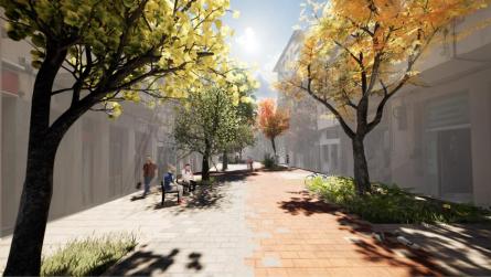 PASSEIG VIANOVA 221124 (1).jpeg