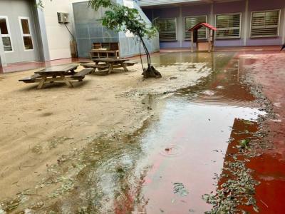 pati vora del mar veins per cubelles 1.jpg