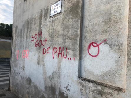 pintades CDR 2019 2.jpeg