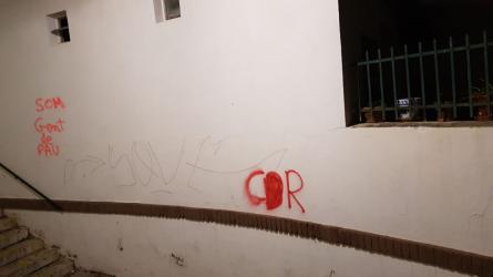 pintades CDR 2019.jpg