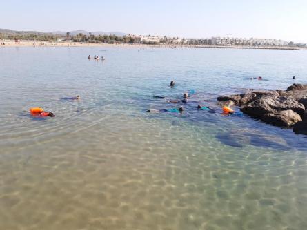 PLATJA SALINES 2023 (1).jpg