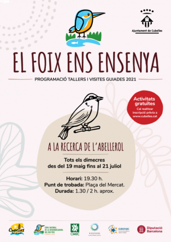 poster-abellarol-con-info.png