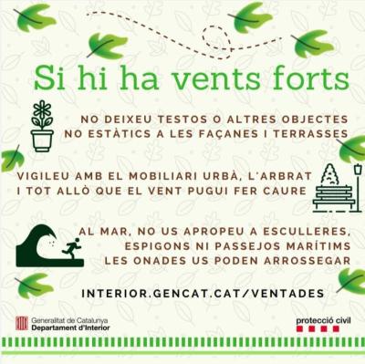 PROCICAT VENTADES (1).jpeg