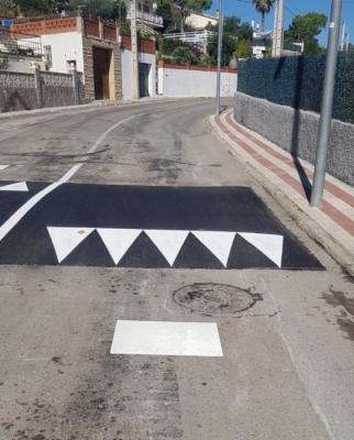 Ressalt velocitat Dàlia Mas Trader.jpg