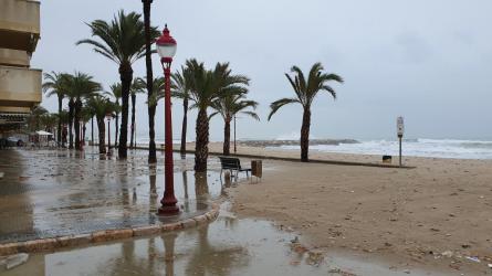 TEMPORAL MARÍTIM PASSEIG PLATJA LLARGA 04-12-19 (4).jpg