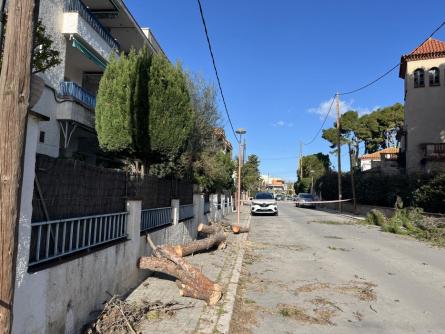 VENT CASA ESTAPE 110226 (4).JPG