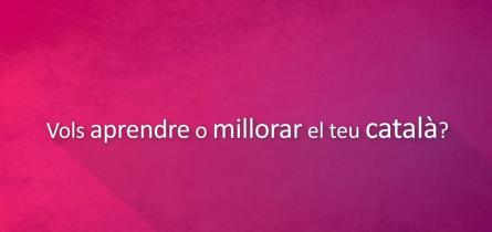 Vols Aprendre o millorar el català.jpg