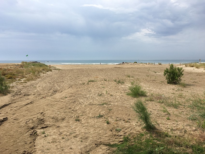 Platja Salines gossos